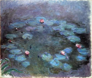 Nymphéas